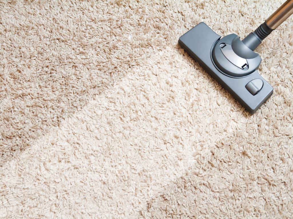 carpet being cleaned professionally