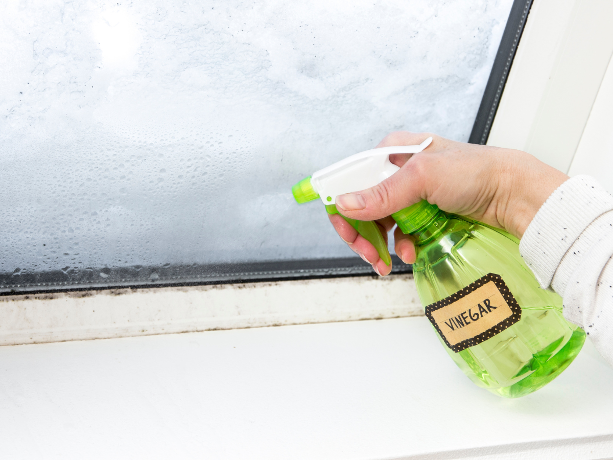 vinegar solution spray on window sill